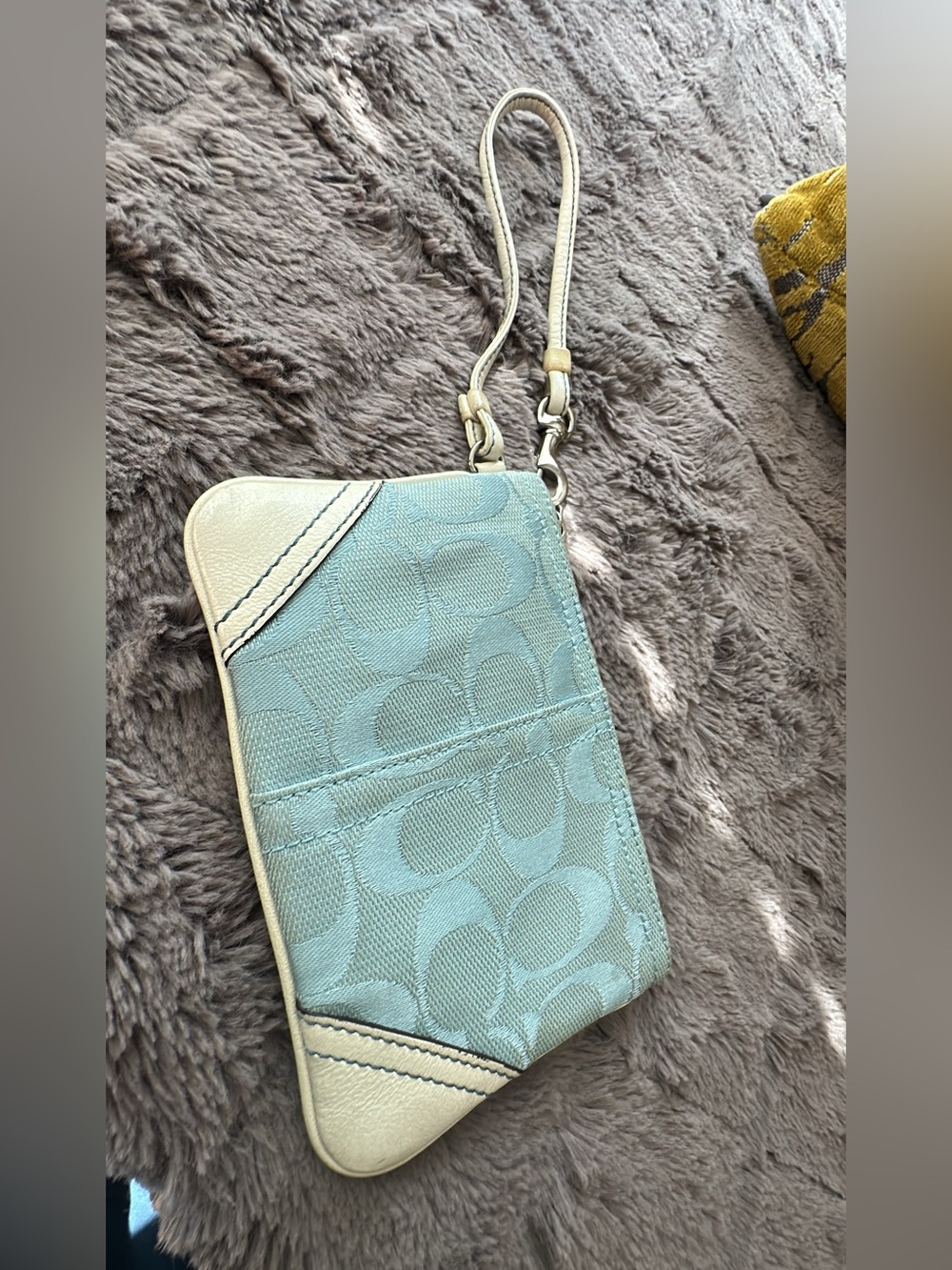Coach Vintage Wristlet Tiffany Blue Signature Demi Jacquard
Y2K Leather (bags21)